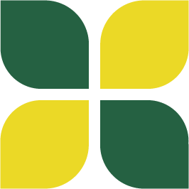 Favicon Xincon Favicon
